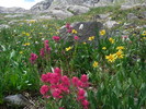 photo thumbnail #12