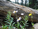photo thumbnail #13
