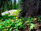 photo thumbnail #14