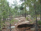 photo thumbnail #1