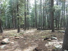 photo thumbnail #6