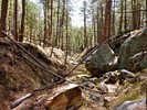 photo thumbnail #6