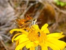 photo thumbnail #9