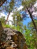photo thumbnail #11