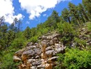photo thumbnail #13
