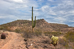 photo thumbnail #3