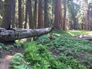 photo thumbnail #7