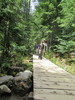 photo thumbnail #11