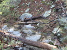 photo thumbnail #15