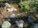 photo thumbnail #14