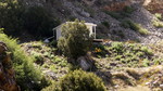 photo thumbnail #13