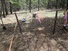 photo thumbnail #3