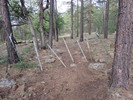 photo thumbnail #5