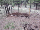 photo thumbnail #8