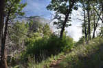 photo thumbnail #10