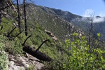 photo thumbnail #14