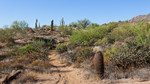 photo thumbnail #3