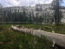 photo thumbnail #13