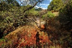 photo thumbnail #7