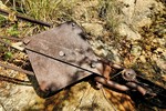 photo thumbnail #13
