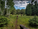 photo thumbnail #3