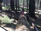 photo thumbnail #3