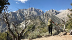 photo thumbnail #2