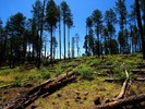 photo thumbnail #5