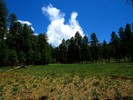 photo thumbnail #9
