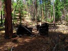 photo thumbnail #11