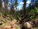 photo thumbnail #12