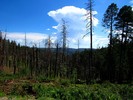 photo thumbnail #12