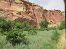 photo thumbnail #12