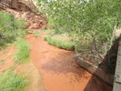 photo thumbnail #15