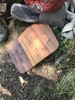 photo thumbnail #7