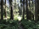 photo thumbnail #12
