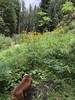photo thumbnail #2