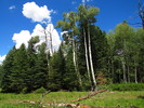 photo thumbnail #3