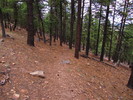 photo thumbnail #8