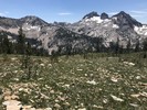 photo thumbnail #14