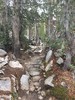 photo thumbnail #14