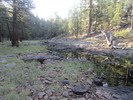 photo thumbnail #10