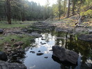 photo thumbnail #11