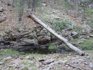 photo thumbnail #12