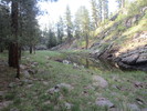 photo thumbnail #13