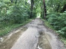 photo thumbnail #15