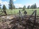 photo thumbnail #2