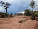 photo thumbnail #15