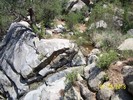 photo thumbnail #15