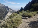 photo thumbnail #3